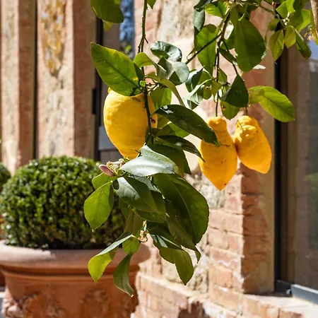 Hotel apartamentowy Guild Senior & Siena